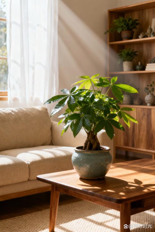 五、南北种植差异化建议