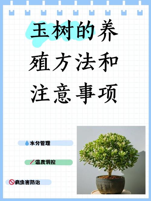 玉兰树不长叶子怎么回事?六大原因诊断与春季促叶复壮方案 七、倒栽与补植参考