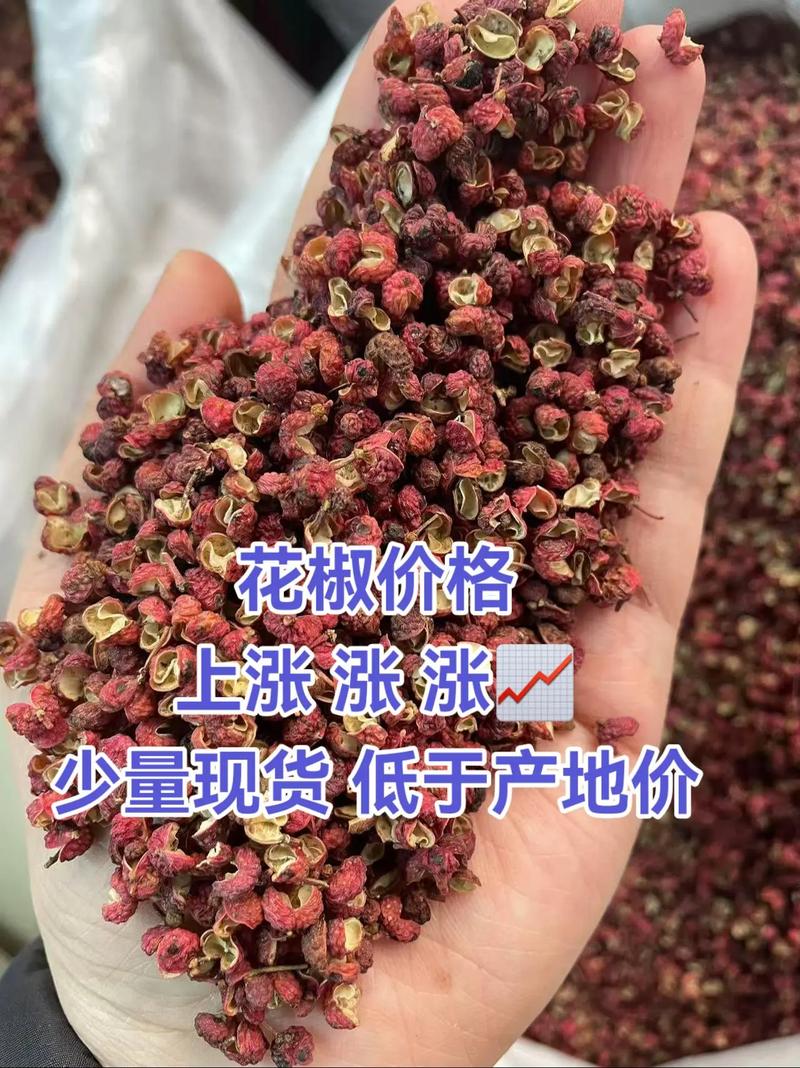 陇南花椒多少钱一斤?2024年最新价格参考与影响因素全解析 五、运输维度:物流成本占售价10%~20%