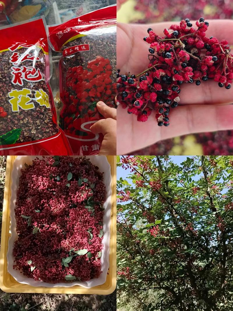 陇南花椒多少钱一斤?2024年最新价格参考与影响因素全解析 综合价格参考表(2024年10月,单位:元/斤)