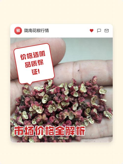 陇南花椒多少钱一斤?2024年最新价格参考与影响因素全解析 常见问题(FAQ)