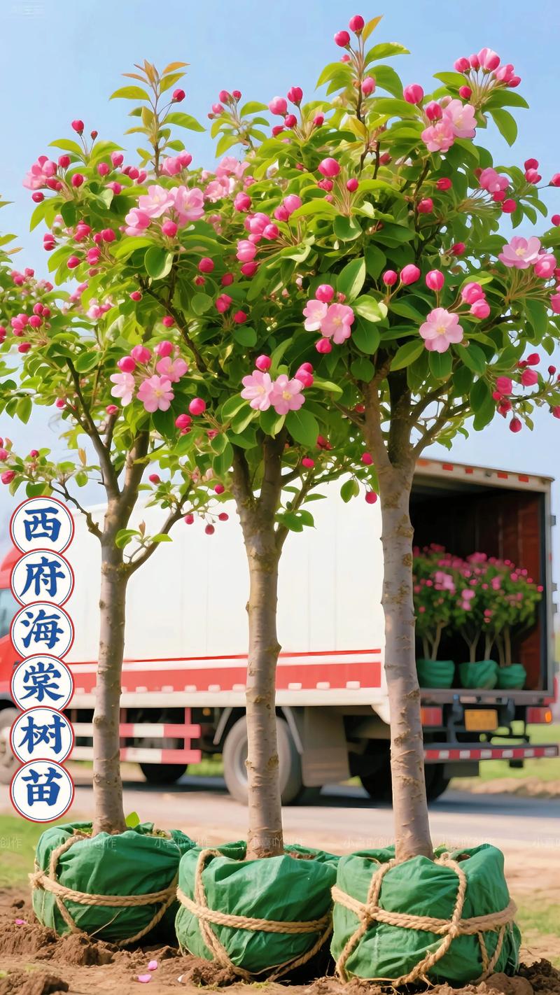 海棠树适合种在庭院的什么位置？科学选位与养护全指南