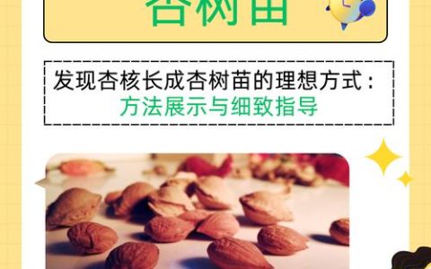 杏核能种出来吗？教你从一颗杏核到成活杏树的完整种植指南