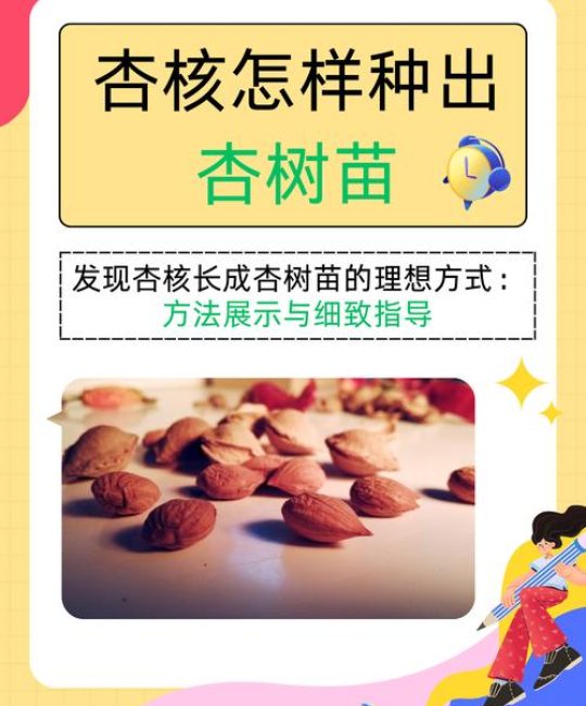 杏核能种出来吗？教你从一颗杏核到成活杏树的完整种植指南