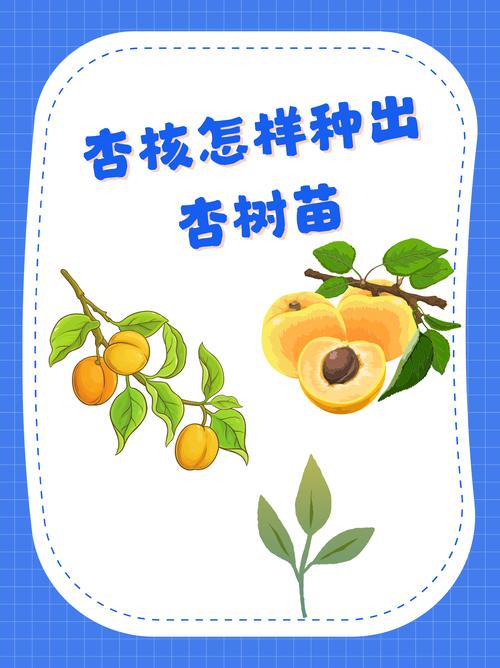 杏核能种出来吗?教你从一颗杏核到成活杏树的完整种植指南 五、浇定根水:第一水怎么浇?