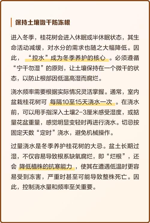 桂花树冬天需要浇水吗?冬季养护全指南 三、光照:冬季要充足光照,多晒太阳积累养分