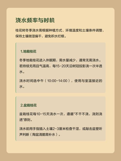 桂花树冬天需要浇水吗?冬季养护全指南 六、换盆/田间管理:冬季不宜换盆,但可进行松土和培土