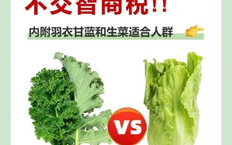 紫甘蓝和羽衣甘蓝有什么区别？6维度深度对比与种植指南