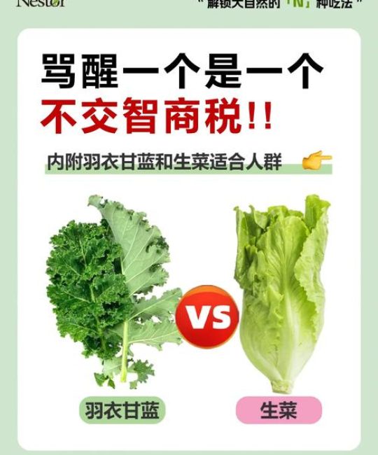 紫甘蓝和羽衣甘蓝有什么区别？6维度深度对比与种植指南