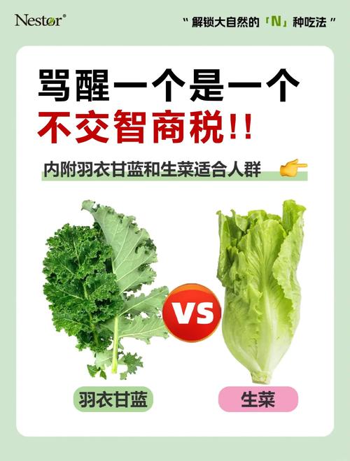 紫甘蓝和羽衣甘蓝有什么区别?6维度深度对比与种植指南 紫甘蓝和羽衣甘蓝有什么区别?6维度深度对比与种植指南