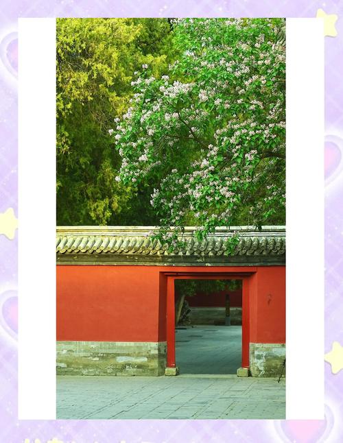 屋前栽什么风景树最好?这几种树既美观又吉祥 3. 玉兰树:玉树临风,高洁芬芳