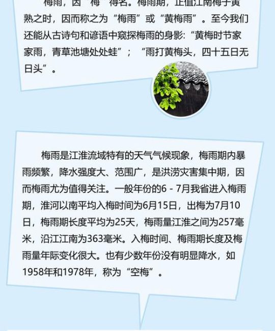 夜来风雨声：园艺中的风雨防护与诗意养护