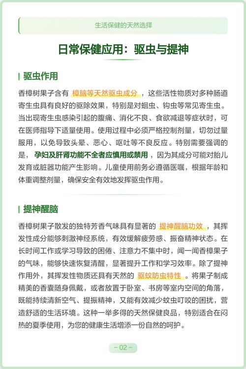 香樟树的果实有什么作用?食用、药用与安全须知 常见误区