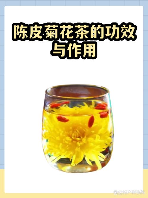 菊花与陈皮搭配:一杯清火养眼的庭院茶饮 常见误区与纠正