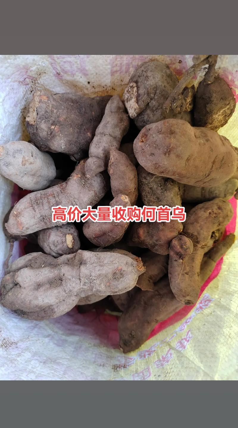 何首乌价格多少钱一斤?规格、产地、年份影响报价 产地因素