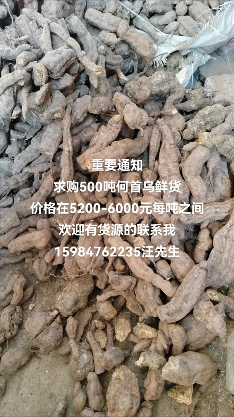 何首乌价格多少钱一斤?规格、产地、年份影响报价 报价咨询指南