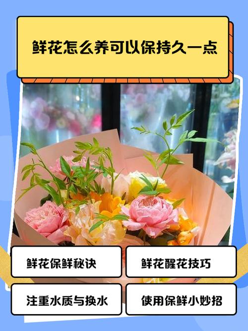 鲜花怎么养可以保持久一点 修剪(花茎处理)