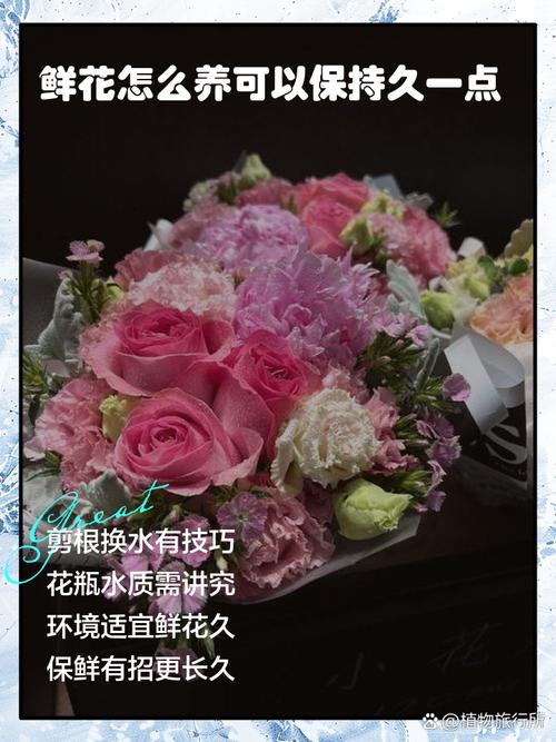 鲜花怎么养可以保持久一点 越冬/越夏(季节性管理)