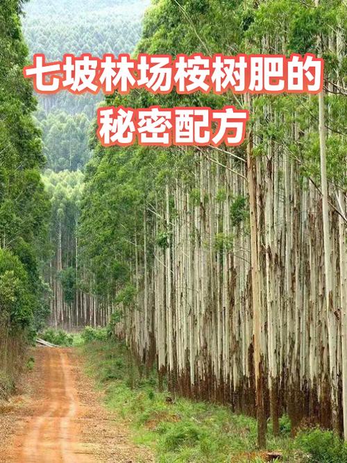 桉树专用肥料多少钱一吨?2025年市场参考价格 咨询指南
