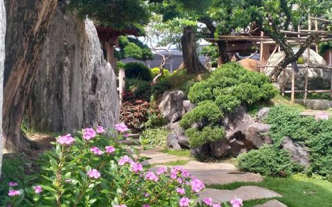 别墅后花园种树指南：科学选种与安全种植手册