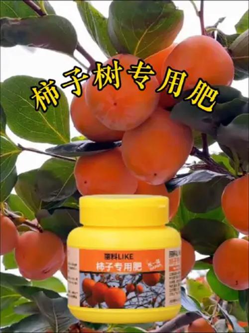 柿子树开花前施什么肥好?促花保果的关键施肥方案 常见问题(FAQ)