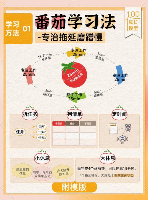 六月番茄种植指南:从选时到缓苗的完整操作流程 土壤环境