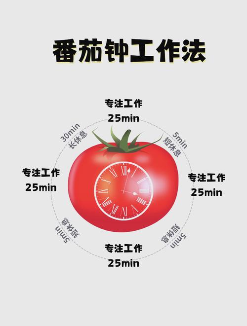 六月番茄种植指南:从选时到缓苗的完整操作流程 栽植深度
