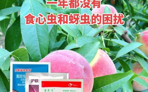 桃树六月份打什么农药？2026年防治褐斑病与食心虫的精准方案