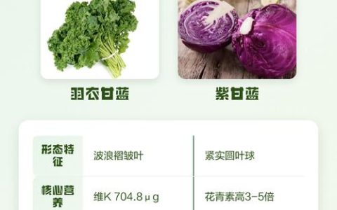 羽衣甘蓝和紫甘蓝的区别：外观、习性、种植全对比