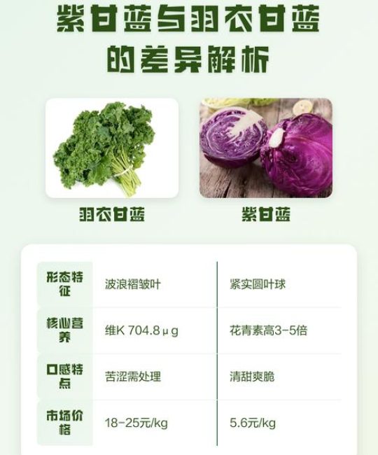 羽衣甘蓝和紫甘蓝的区别：外观、习性、种植全对比