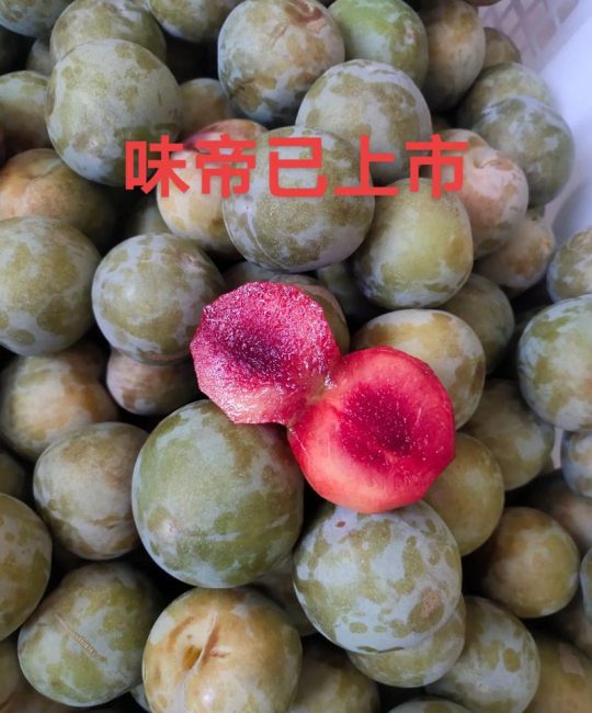 味帝李子价格是多少？规格、产地、季节影响报价