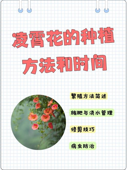 凌霄花怎么换盆?抓住黄金时间,3步搞定根系复壮 盆栽还是地栽?3个判断依据