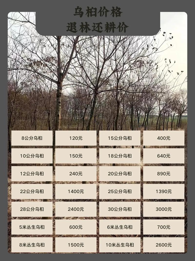 乌木多少钱一吨?2024年最新价格区间与影响因素解析 数量优惠与起订门槛
