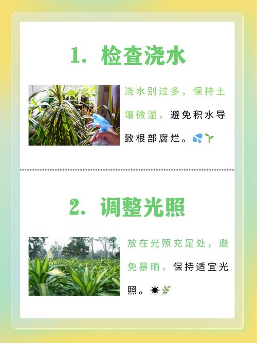 龙血树叶子发黄为什么?四大原因排查与精准防治指南 龙血树叶子发黄为什么?四大原因排查与精准防治指南