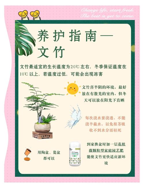 养竹子上什么肥料好?家庭竹子养护全指南 越冬越夏:夏季遮阴降温,冬季防寒保暖,帮助竹子平稳度过极端季节