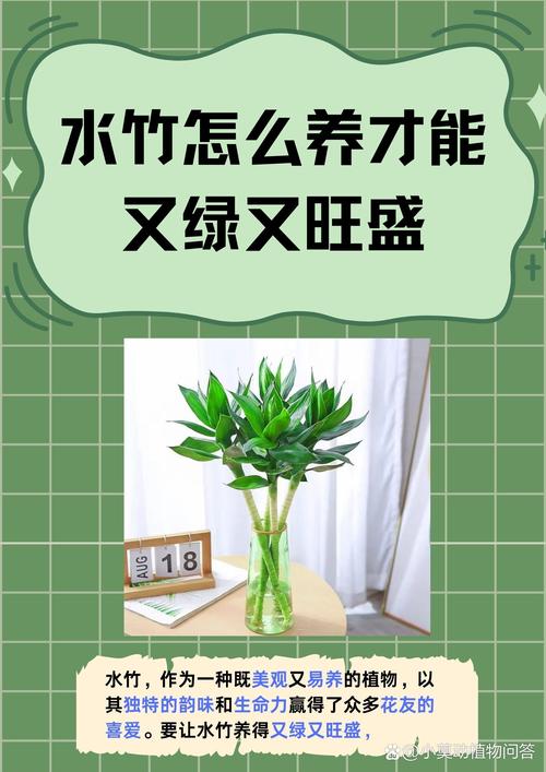 养竹子上什么肥料好?家庭竹子养护全指南 修剪:及时疏剪老弱病枝,保持通风透光,促进新笋萌发