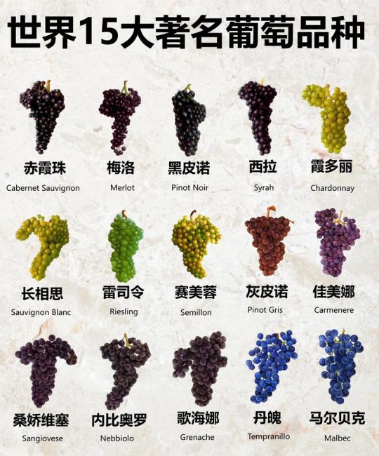 2026年葡萄品种大全与家庭/商业化种植全攻略