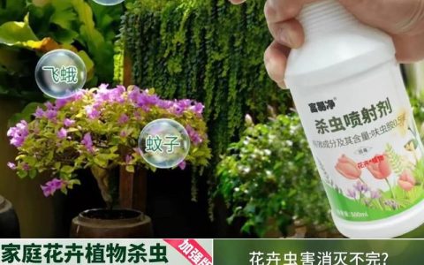 花草里面的小飞虫用什么去除？5种有效方法轻松解决
