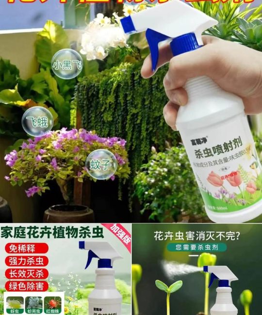 花草里面的小飞虫用什么去除？5种有效方法轻松解决