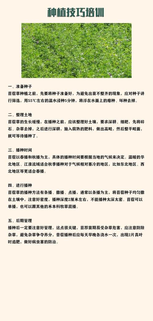 第五步：综合评估与试单建议