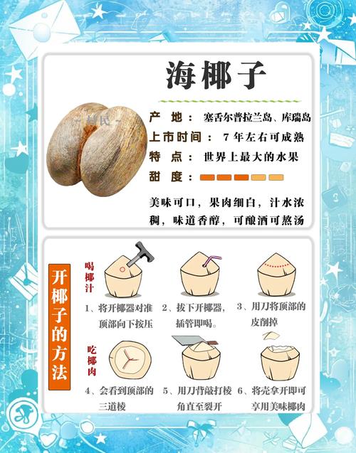 广州椰子树结椰子吗?从树形、挂果到移栽养护的全面解答 支撑固定系统:抗台风是广州刚需