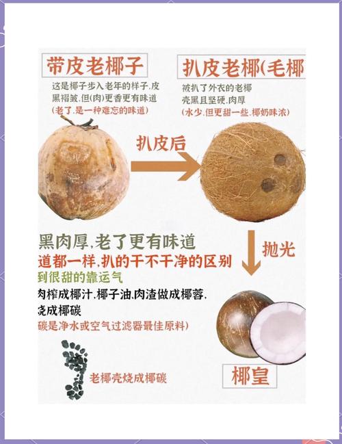广州椰子树结椰子吗?从树形、挂果到移栽养护的全面解答 常见问题与执行清单