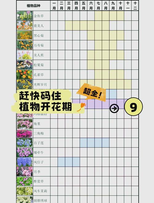 栗子树什么时候开花?全国花期时间表与促花促果管理指南 影响栗子树开花的关键因素