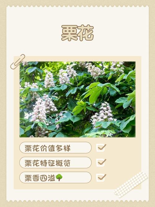 栗子树什么时候开花?全国花期时间表与促花促果管理指南 总结