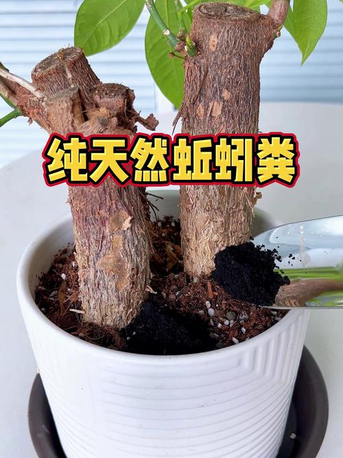蚯蚓粪有机肥多少钱一吨?2025年最新价格参考与影响因素全解析 价格影响综合对比表