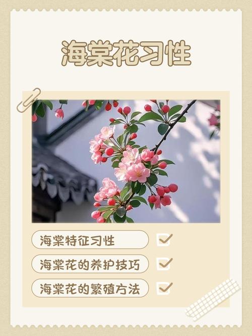 广西可以种海棠花吗?——气候适应性分析与种植指南 六、结论