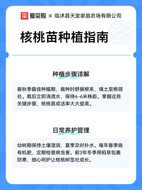 优质核桃树苗哪里收?采购标准与种植收益全指南 授粉需求配置