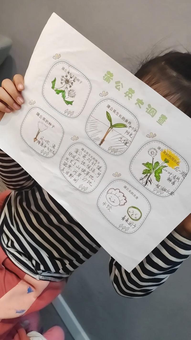 蒲公英的种子像什么?从园艺视角看自然播种的设计 另一种诗意视角:羽毛笔与星芒