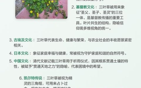 三叶草是什么寓意？从植物学特征到庭院养护全解析