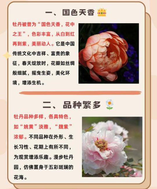 牡丹花种植全攻略：原产地、花色花期与盆栽地栽养护指南
